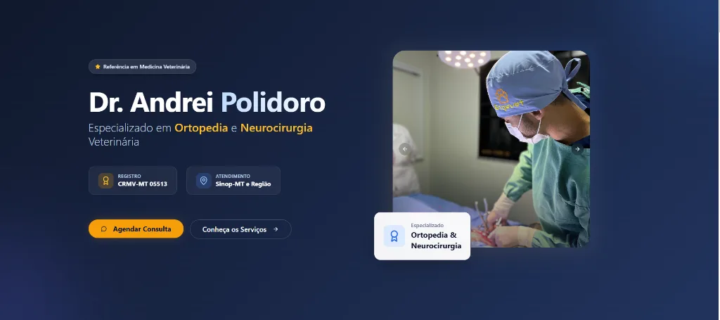 Interface do projeto Dr. Andrei Polidoro
